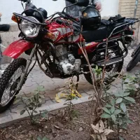 احسان شکاری مدل 94