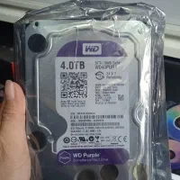 هارد wd purple 4 tera