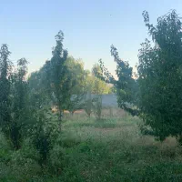 باغ بالاتر از خاوران نرسیده به باسمنج(قابل معاوضه)|فروش دفتر صنعتی، کشاورزی، تجاری|تبریز, |دیوار