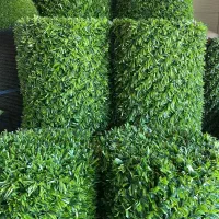 فنس برگی|گل و گیاه طبیعی|ساوه, |دیوار