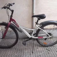 دوچرخه|دوچرخه، اسکیت، اسکوتر|رشت, فلسطین|دیوار