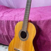 گیتار رویال