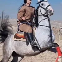 اموزش سوارکاری و اسب سواری