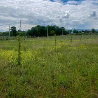 زمین مسکونی باغی