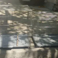 قفس پرنده معاوضه با قفس مسافرتی برای عروس هلندی|لوازم جانبی حیوانات|قدس, شهرک دانش|دیوار