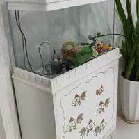 آکواریوم شیشه خم سالم