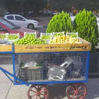 چرخ میوه فروش فوری