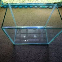 تانک آکواریوم نو|ماهی|مراغه, |دیوار