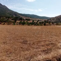 فروشی زمین خام