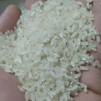 برنج کامفیروزی درجه یک