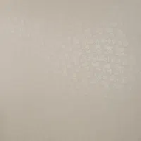 نقاش سختمان|خدمات پیشه و مهارت|مریوان, |دیوار