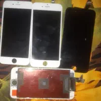 iphone 6/6s السیدی