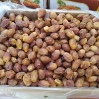 خرمای قصب درجه یک|خوردنی و آشامیدنی|جهرم, |دیوار