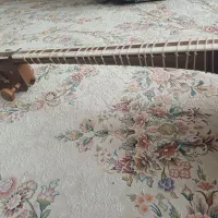 ساز تار|سازهای سنتی|همدان, |دیوار