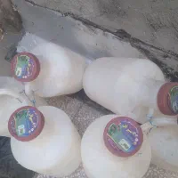 دبه خیارشور ۶عدد