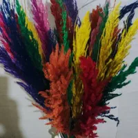 گل بامبو .گلدان یوکا|گل و گیاه طبیعی|ورامین, ورامین|دیوار