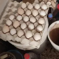 تخم مرغ گلین|حیوانات مزرعه|رامیان, |دیوار