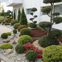 طراحی اجرا و نگهداری فضای سبز|خدمات باغبانی و درختکاری|نوشهر, |دیوار