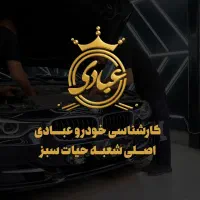 تشخیص رنگ و فنی خودروهای لوکس نیاوران (عبادی اصلی)