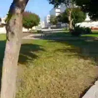 گمشده دنبال این پارک هستم|اشیا|دزفول, |دیوار