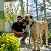 باشگاه سگ نژاد کانگال و سرابی ممتاز