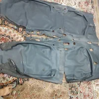 کفی زانتیا