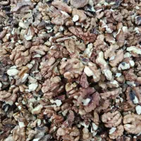 حراج مغز گردو فقط 350تومان تولید به مصرف|خوردنی و آشامیدنی|فشاپویه, |دیوار