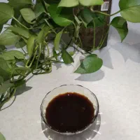 فروش شیره انگور.رب انار خانگی|خوردنی و آشامیدنی|شیراز, دروازه اصفهان|دیوار