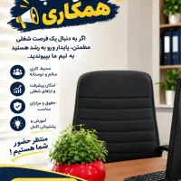 دعوت به همکاری آنلاین