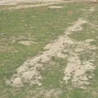 فروش زمین کشاورزی 7هکتار در مرودشت