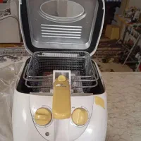 سرخ کن سانی سالم