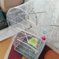 قفس زینتی بزرگ باتمام تجهیزات