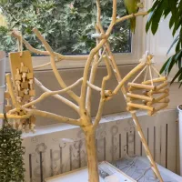 ملزومات پرنده