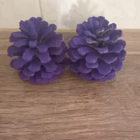 میوه کاج فروشی