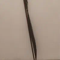 آرشه کمانچه|سازهای سنتی|محمدشهر, سیدآباد|دیوار