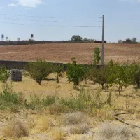 زمین باغشهری کودیان