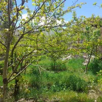 باغ بر جاده ورزقان|فروش دفتر صنعتی، کشاورزی، تجاری|خواجه, |دیوار