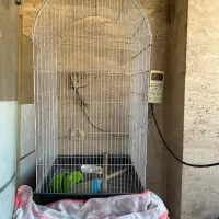 قفس خیلی بزرگ