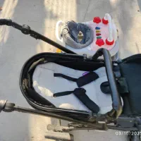 کالسکه و روروک مارک دلیجان در قائمیه|کالسکه و لوازم جانبی|کوه چنار, |دیوار