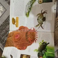 فروش ویژه شکارچیان طبیعت|کتاب و مجله آموزشی|خواف, |دیوار