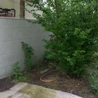 فروش ویلا با زمین ۲۵۰متری از املاک ابوالفضل بخرید|فروش خانه و ویلا|رودبنه, |دیوار