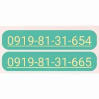 ۲عدد خط ۰۹۱۹