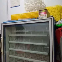 دستگاه جوجه کشی بلدرچین دماوند