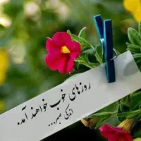 مشاوره و راهنمایی میدم
