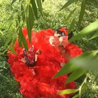 کرایه و فروش مجلسی|لباس|کرمانشاه, |دیوار