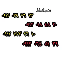 09120397613