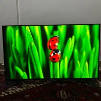 تلویزیون ۴۳ اینچ صنام اسمارت با گلس در حد نو