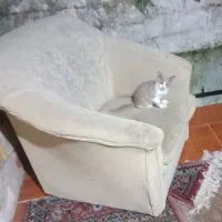 نیاز به امداد