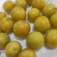 گوجه سبز رسیده|خوردنی و آشامیدنی|نیشابور, شهرک اندیشه|دیوار