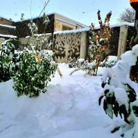 زمین ۲۰۰ متری طرقبه کوهساران